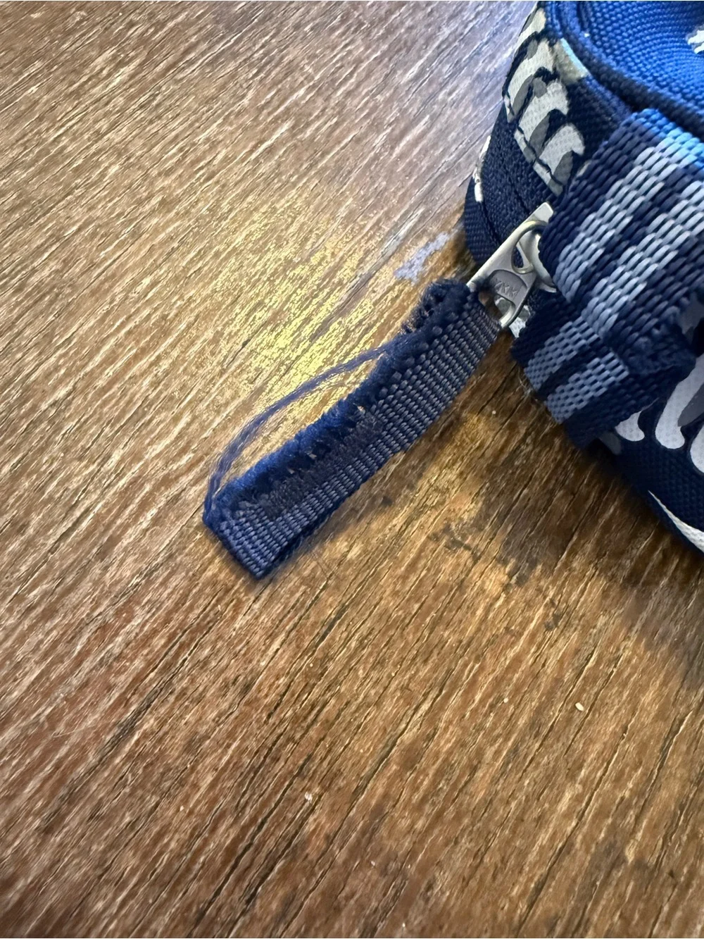 Pottery Barn Kids Dino Bone Pencil Case Blue Pouch